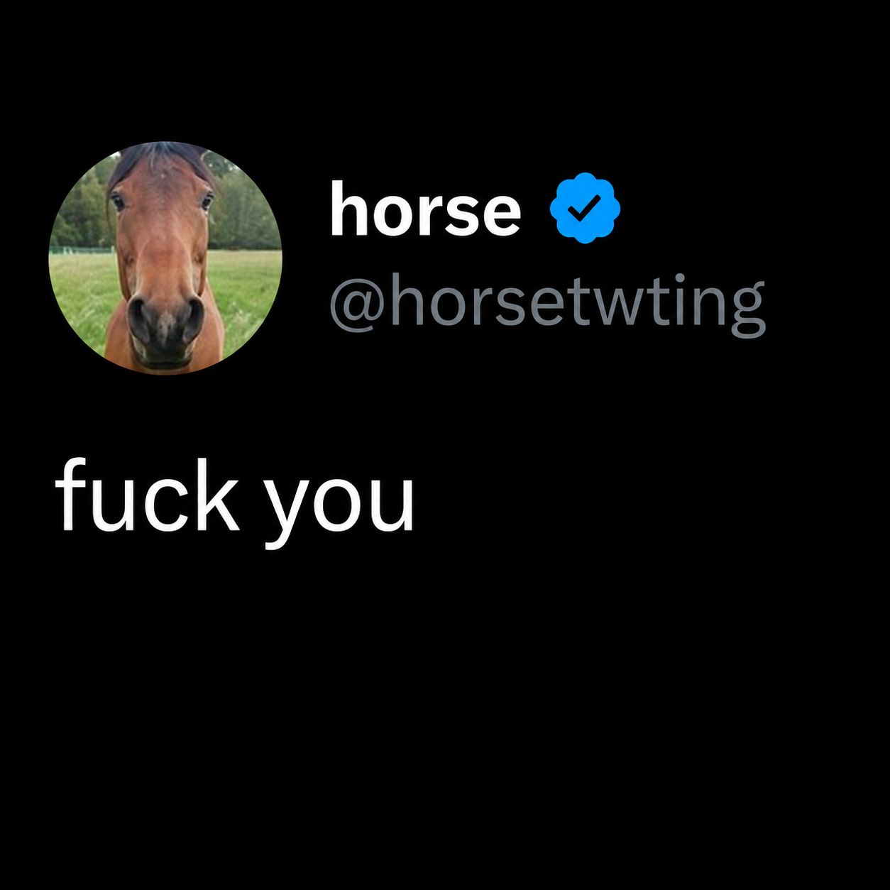horsetwting viral tweet